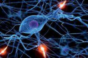 额叶癫痫的手术治疗要点有哪些