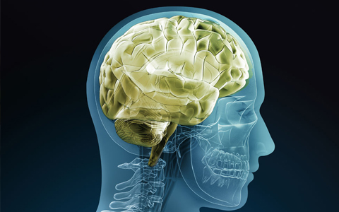 额叶癫痫有哪些常见的发作症状