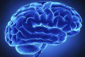 引起额叶癫痫的病因是什么