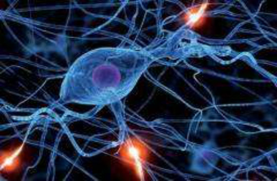 癫痫病患者的日常饮食与治疗药物有什么