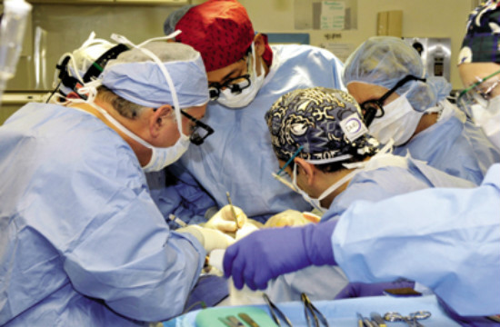 癫痫病儿饮食的注意事项是哪些